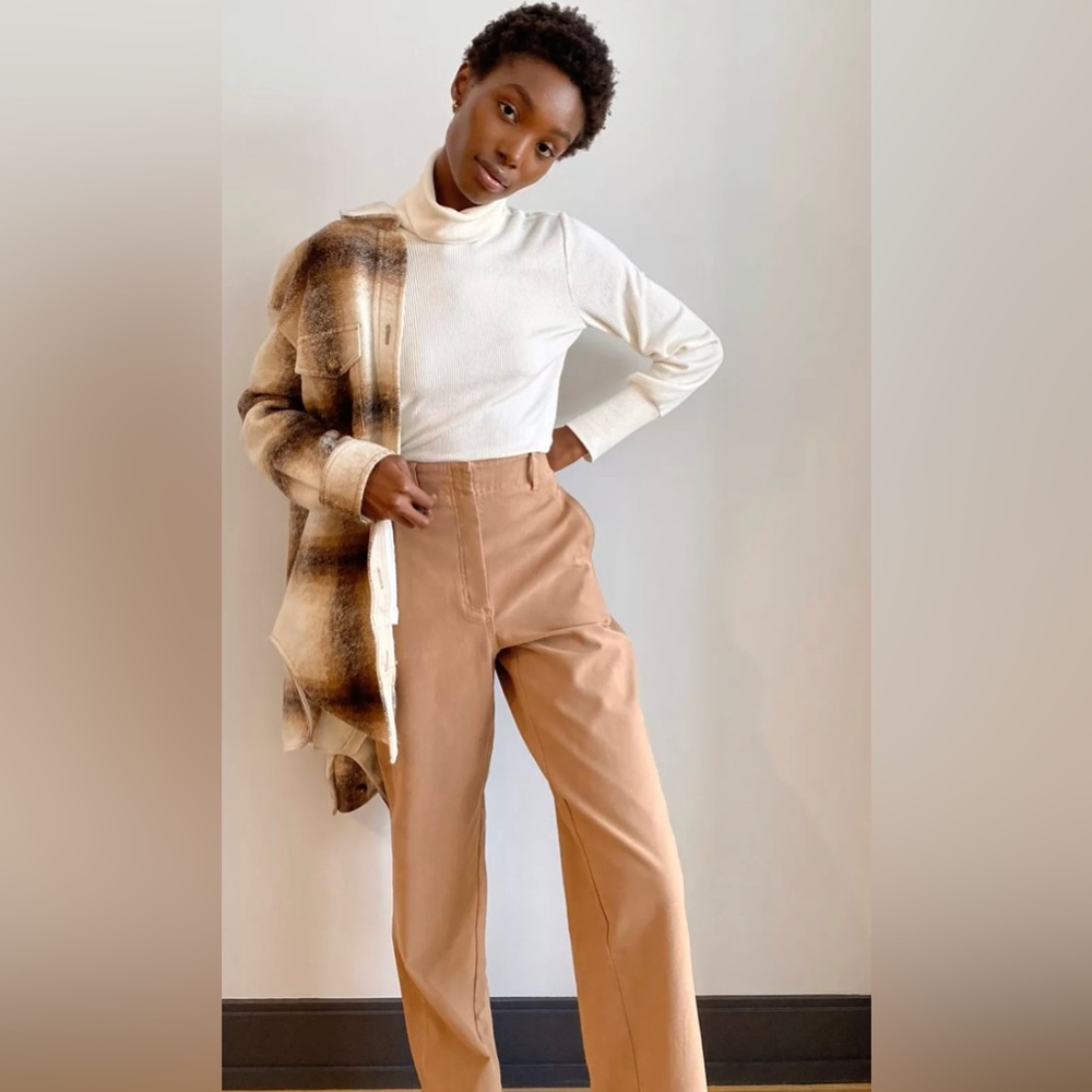 Aritzia Wilfred Free NOVA Turtleneck | L |